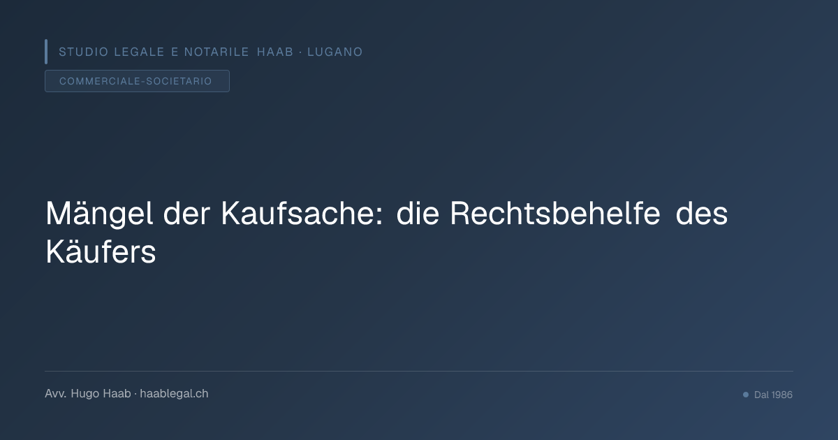 Mängel der Kaufsache: die Rechtsbehelfe des Käufers